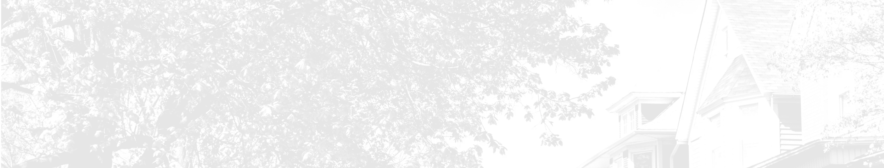 trees and rooftops